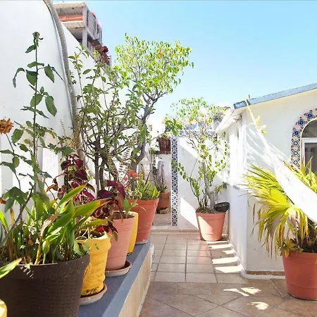 Alexandross Hostel-3
